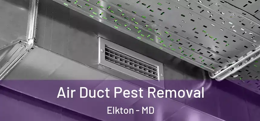  Air Duct Pest Removal Elkton - MD