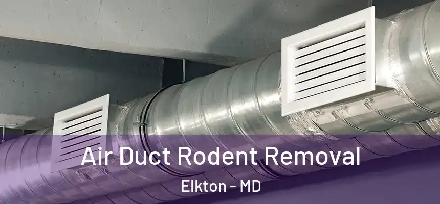 Air Duct Rodent Removal Elkton - MD