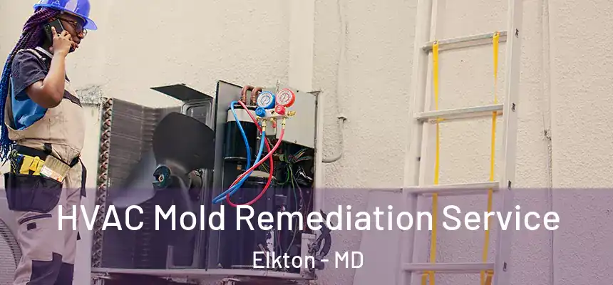 HVAC Mold Remediation Service Elkton - MD
