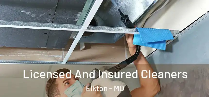 Licensed And Insured Cleaners Elkton - MD