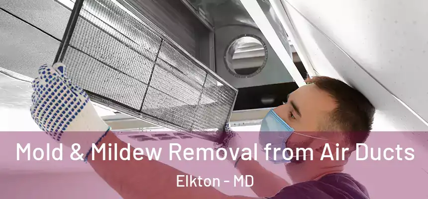  Mold & Mildew Removal from Air Ducts Elkton - MD