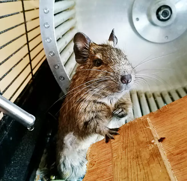 Why Homeowners & Businesses Trust Us Elkton, MD