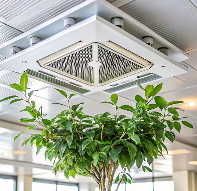 Why Homeowners & Businesses Trust Us in Elkton, MD