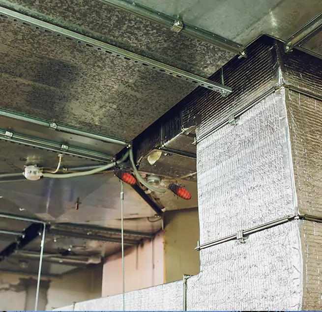 Why Homeowners & Businesses Trust Us Elkton, MD?