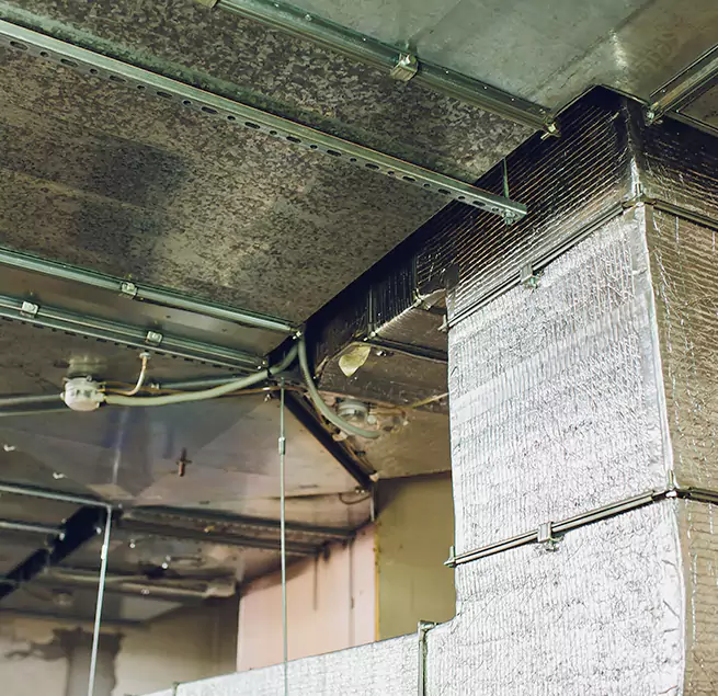 Why Homeowners & Businesses Trust Us in Elkton, MD?